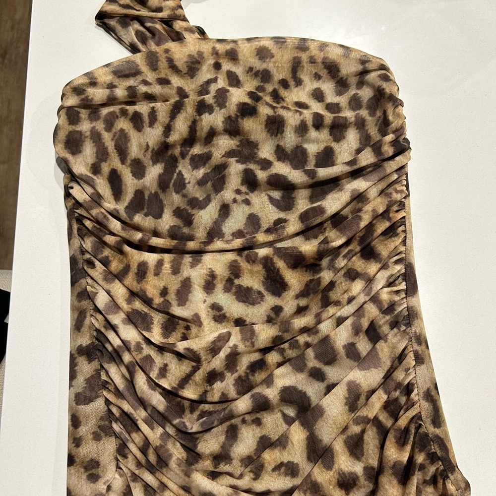 Zara Brown Leopard Print Top
